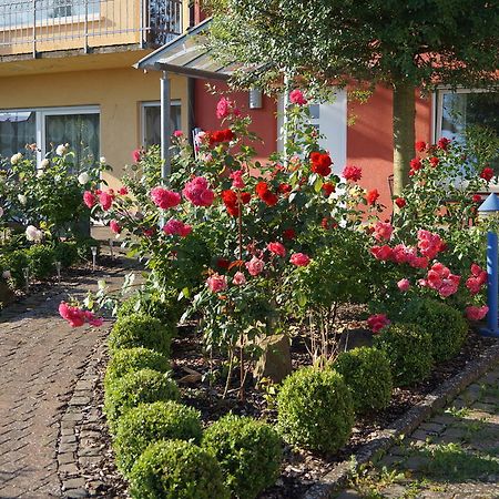 Ferienhaus Schloss-Garten Kapellen-Drusweiler Exterior foto