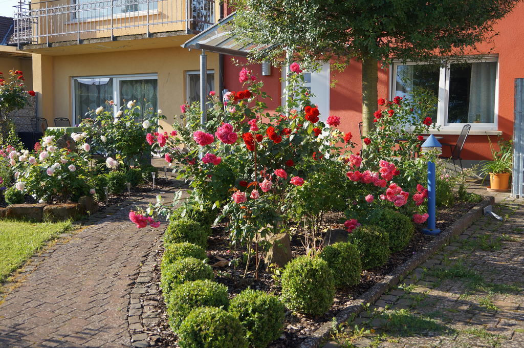 Ferienhaus Schloss-Garten Kapellen-Drusweiler Exterior foto